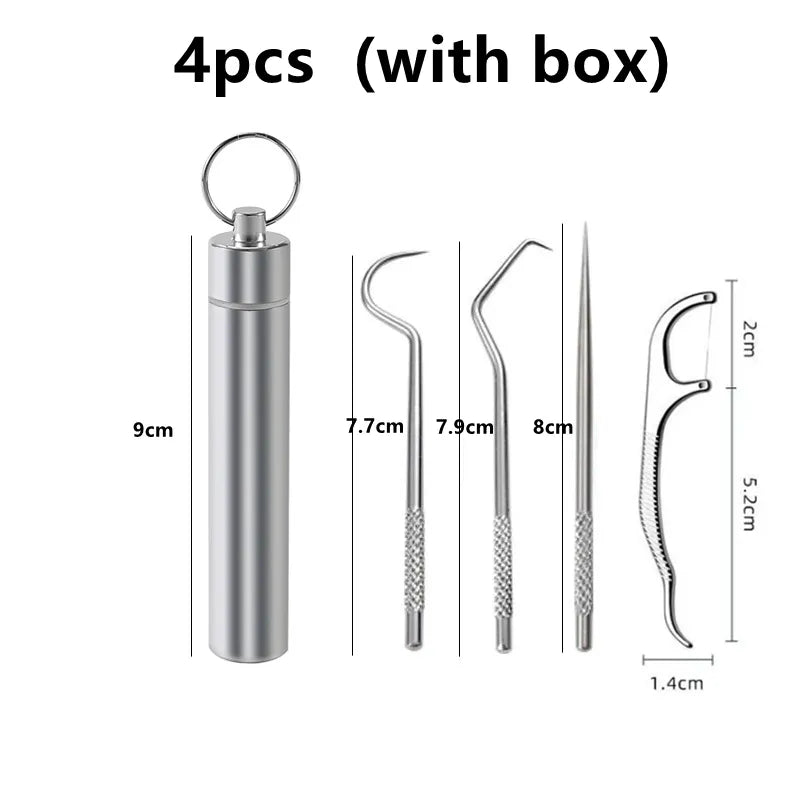 Stainless Steel Toothpick Set - TRESU